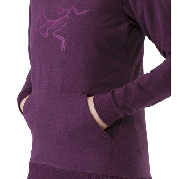 Arc'teryx Tops - ARC’TERYX | ARCHAEOPTERYX PULLOVER HOODIE
